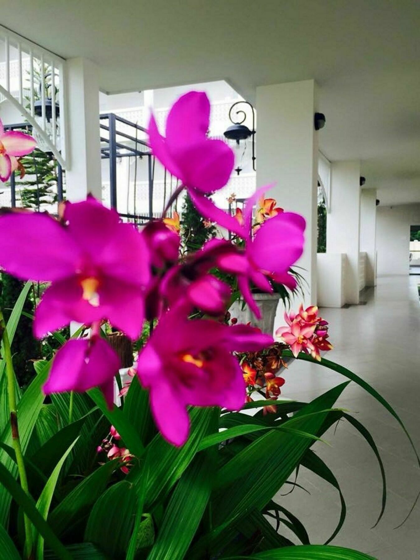Koranaree Courtyard Boutique Hotel Nakhon Ratchasima Bagian luar foto